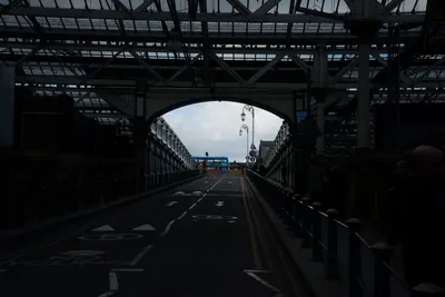 DSC_7277 (Large).JPG